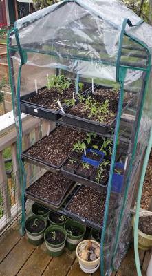 12512671_10156957784182355_6697429146327234031_n