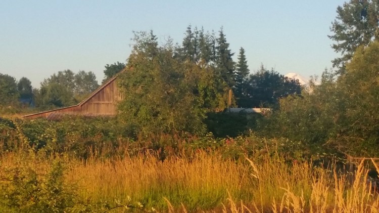 2017-11-06 19.19.02.jpg